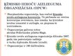 Prezentācija 'Septiņas starptautiskās organizācijas un septiņi starptautiskie konflikti', 7.