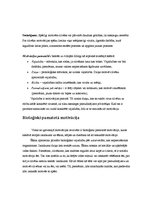 Referāts 'Motivācija un motivācijas teorijas', 4.