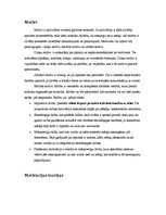 Referāts 'Motivācija un motivācijas teorijas', 8.