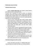 Referāts 'Motivācija un motivācijas teorijas', 11.