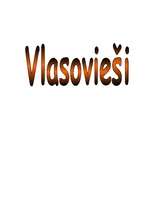 Referāts 'Vlasovieši', 1.