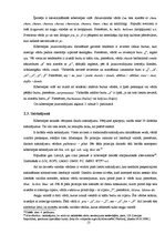 Referāts 'Interneta valodas īpatnības salīdzinājumā ar literārās valodas normām', 13.