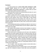 Referāts 'Interneta valodas īpatnības salīdzinājumā ar literārās valodas normām', 17.