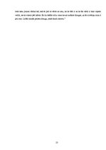 Referāts 'Interneta valodas īpatnības salīdzinājumā ar literārās valodas normām', 23.