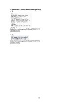 Referāts 'Interneta valodas īpatnības salīdzinājumā ar literārās valodas normām', 33.