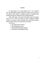 Prakses atskaite 'Ražošanas prakse restorānā "X"', 3.