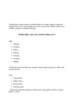 Konspekts 'Referāts par Baltinavas novadu', 3.