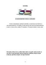 Referāts 'Bērnu bronhiālā astma un tās ietekmējošie riska faktori', 15.