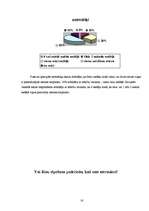 Referāts 'Bērnu bronhiālā astma un tās ietekmējošie riska faktori', 16.