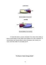 Referāts 'Bērnu bronhiālā astma un tās ietekmējošie riska faktori', 22.