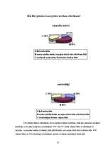 Referāts 'Bērnu bronhiālā astma un tās ietekmējošie riska faktori', 25.