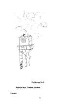 Referāts 'Bērnu bronhiālā astma un tās ietekmējošie riska faktori', 34.