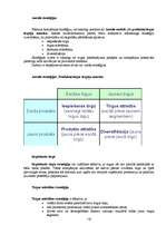 Konspekts 'Starptautiskais mārketings', 19.