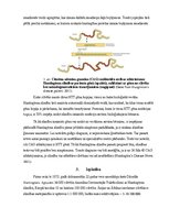 Referāts 'Hantingtona horeja', 2.