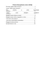 Prakses atskaite 'Pirmsskolas skolotāja pedagoģijas prakses atskaite', 4.