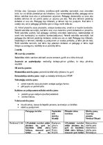 Prakses atskaite 'Pirmsskolas skolotāja pedagoģijas prakses atskaite', 29.