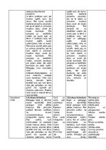 Prakses atskaite 'Pirmsskolas skolotāja pedagoģijas prakses atskaite', 32.