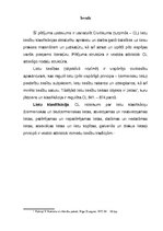 Referāts 'Lietu tiesību klasifikācija', 3.