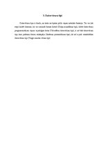 Referāts 'Datorvīrusi un pretvīrusu programmas', 9.