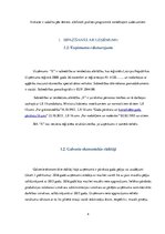 Prakses atskaite 'Grāmatvedības paņēmienu pielietojums uzņēmumā SIA "X"', 4.