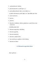 Prakses atskaite 'Grāmatvedības paņēmienu pielietojums uzņēmumā SIA "X"', 12.