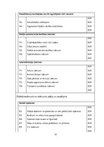 Prakses atskaite 'Grāmatvedības paņēmienu pielietojums uzņēmumā SIA "X"', 29.