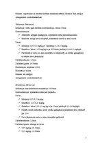 Konspekts 'Miorelaksanti', 5.