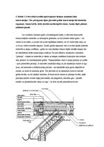 Paraugs 'Horizontālās hidroizolācijas atjaunošana, izmantojot elektrotermisko metodi', 3.