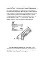 Paraugs 'Horizontālās hidroizolācijas atjaunošana, izmantojot elektrotermisko metodi', 4.
