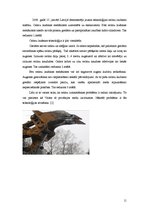 Referāts 'Meža resursi', 11.