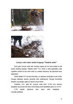 Referāts 'Meža resursi', 12.