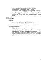 Referāts 'Mārketinga vides un stratēģijas analīze', 30.