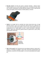 Konspekts 'Lāzera starojuma izmantošana', 6.