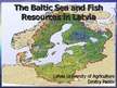 Prezentācija 'The Baltic Sea and Fish Resources in Latvia', 1.
