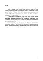 Referāts 'Kultūra', 2.