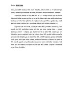 Eseja 'Kā masu informācijas līdzekļu skatījumā tiek attēlots kāds politisks notikums?', 2.
