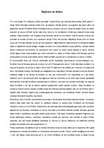 Eseja 'Dokumentālās filmas "Bēgšana no Kubas" analīze', 2.