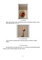 Referāts 'Coca-cola - produkts vai tīrīšanas līdzeklis, tā ietekme uz pārtikas produktiem ', 12.