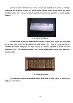 Referāts 'Coca-cola - produkts vai tīrīšanas līdzeklis, tā ietekme uz pārtikas produktiem ', 13.