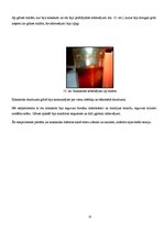 Referāts 'Coca-cola - produkts vai tīrīšanas līdzeklis, tā ietekme uz pārtikas produktiem ', 15.