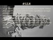 Prezentācija 'Itālijas viduslaiku pilsētas: Piza, Neapole', 5.