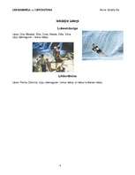 Referāts 'Luksemburga un Lihtenšteina', 8.