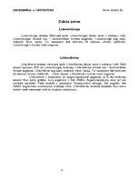 Referāts 'Luksemburga un Lihtenšteina', 9.