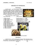 Referāts 'Luksemburga un Lihtenšteina', 10.