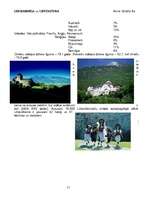 Referāts 'Luksemburga un Lihtenšteina', 11.