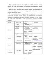 Referāts 'Nozares apraksts - nacionālo virtuvju restorāni', 6.