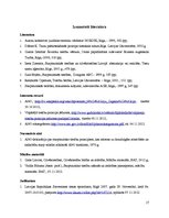 Referāts 'Starptautisko tiesību pamatprincipi', 17.