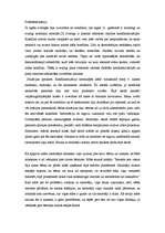 Eseja 'Konfliktsituācija', 2.