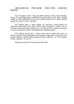 Prakses atskaite 'Mākslas vingrošanas vecākais treneris', 8.