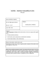 Prakses atskaite 'Mākslas vingrošanas vecākais treneris', 10.